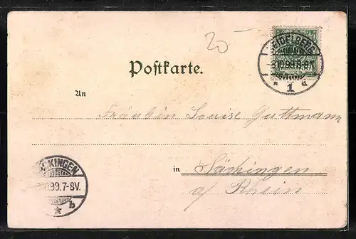 Lithographie Heidelberg, Gesamtansicht der Stadt am Neckar