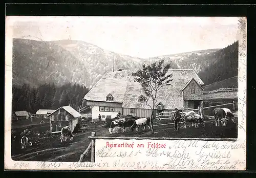 AK Feldsee, Reimartihof mit Kühen und Blick auf die Berge