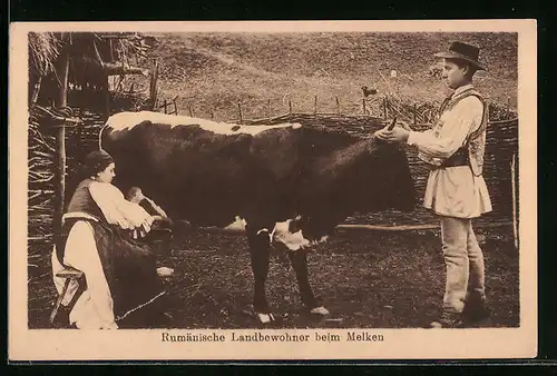 AK Rumänische Landbewohner beim Melken
