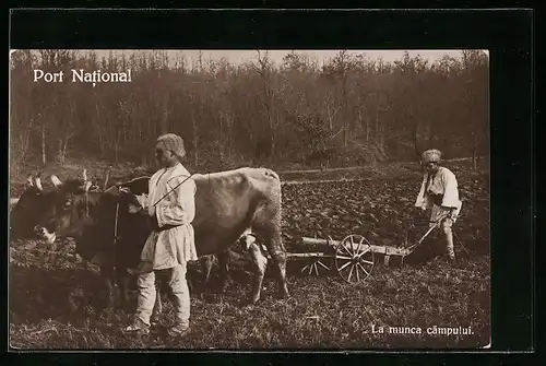 AK Rumänische Bauern beim pflügen ihres Feldes mit Ochsengespann