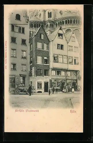 AK Köln, Alt-Köln, Fischmarkt