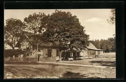 AK Braunlage, Forsthaus Brunnenbach