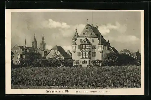 AK Geisenheim a. Rh., Schönborner Schloss