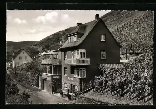 AK Bacharach / Rhein, Pension Müller-Hermsdorf, Blücherstr. 44