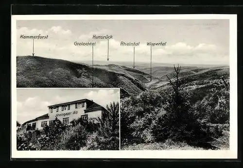 AK Presberg im Rheingau, Gasthaus Rheingauer Alp, Panorama mit Kammerforst