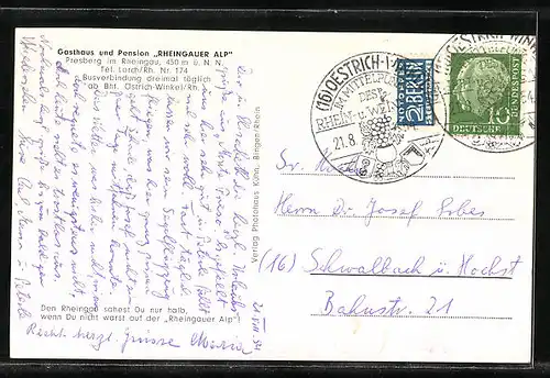 AK Presberg im Rheingau, Gasthaus Rheingauer Alp, Panorama mit Kammerforst