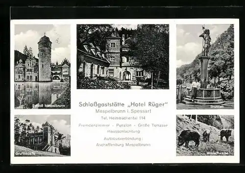 AK Mespelbrunn / Spessart, Schlossgaststätte Hotel Rüger, Schloss, Gruftkapelle, Brunnen