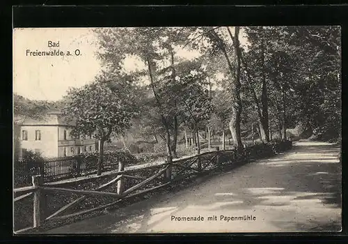 AK Bad Freienwalde / Oder, Promenade mit Papenmühle