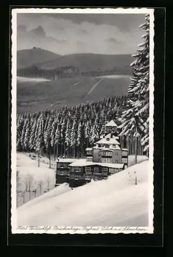AK Brückenberg, Hotel Waldschloss und Schneekoppe im Winter
