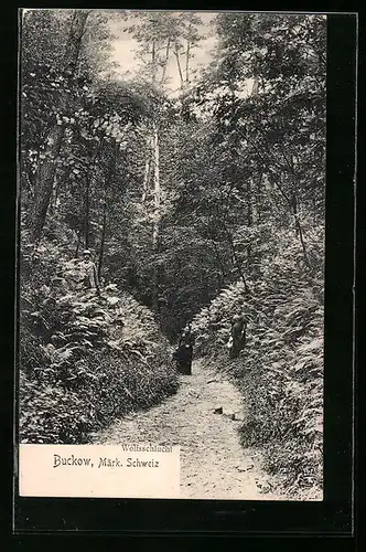 AK Buckow / Märk. Schweiz, Spaziergängerinnen in der Wolfsschlucht