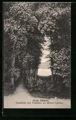 AK Eutin, Durchblick vom Forsthaus am kleinen Ugleisee