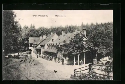 AK Bad Harzburg, Gasthaus Molkenhaus