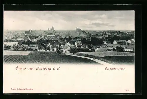 AK Freiberg i. S., Gesamtansicht