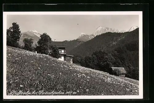 AK Partenkirchen, Pfeifferalm auf der Bergwiese