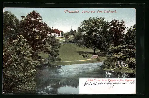 AK Chemnitz, Partie aus dem Stadtpark