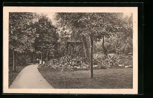 AK Mainz, Partie in den Stadt-Anlagen