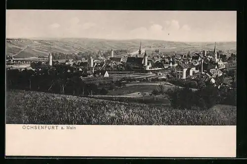 AK Ochsenfurt a. M., Totale von der Bergwiese aus gesehen