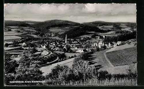 AK Hartenrod / Biedenkopf, Totale vom Berg aus gesehen