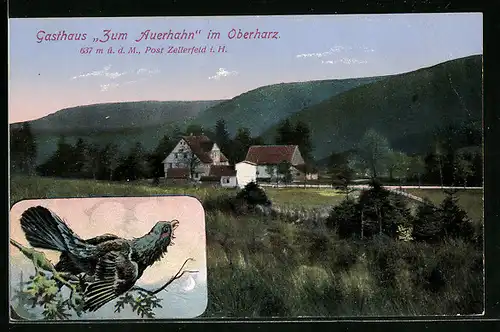 AK Zellerfeld i. H., Gasthaus Zum Auerhahn