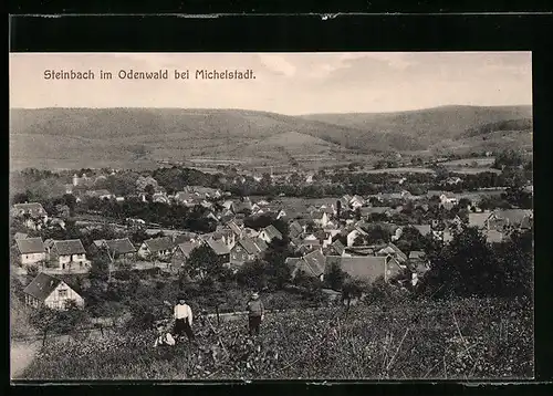 AK Steinbach / Odenwald, Totale von der Bergwiese aus gesehen