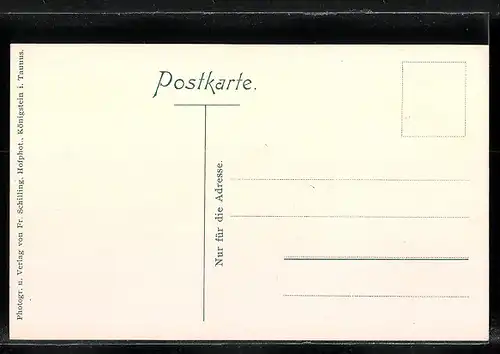 AK Königstein i. Taunus, Totalansicht