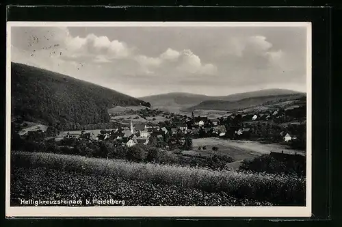 AK Heiligkreuzsteinach, Totale von der Bergwiese aus gesehen