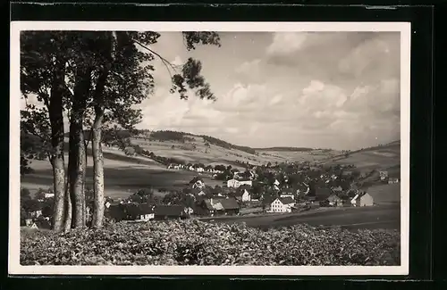 AK Neudorf / Erzgeb., Totalansicht
