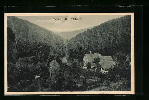 AK Wernigerode / Harz, am Voigtstieg