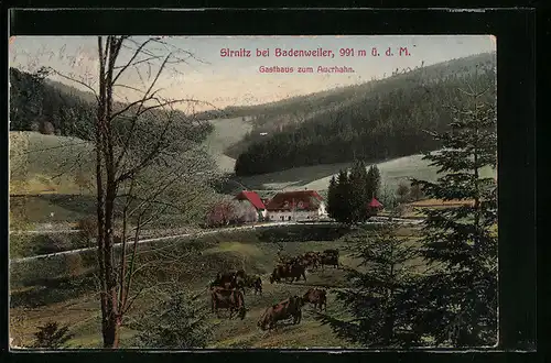 AK Sirnitz bei Badenweiler, Gasthaus zum Auerhahn