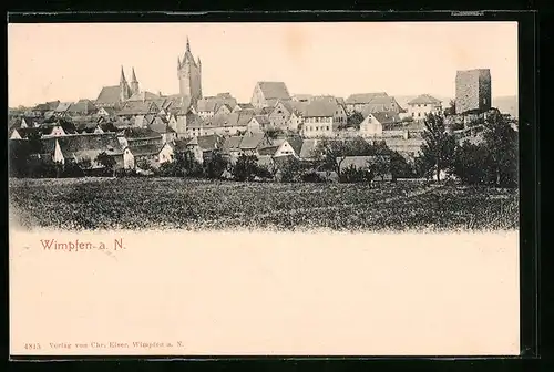 AK Wimpfen a. N., Totale von der Feldwiese gesehen