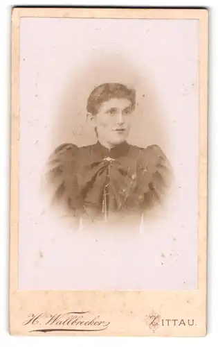 Fotografie H. Wallbrecker, Zittau, Breitestr. 9, Portrait schönes Fräulein in prachtvoller Bluse