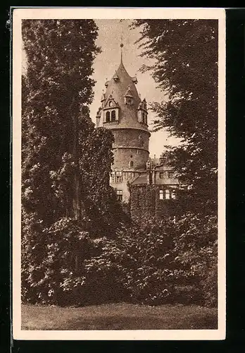 AK Detmold, Schloss, Ganzsache WHW Winterhilfswerk 1934-35