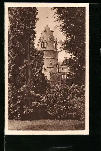 AK Detmold, Schloss, Ganzsache WHW Winterhilfswerk 1934-35