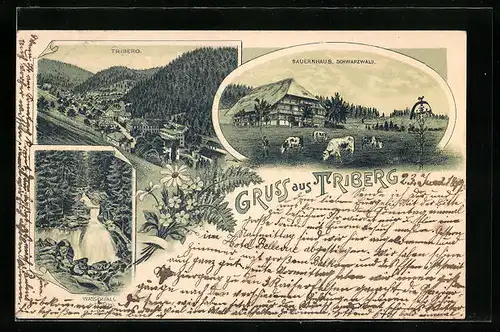 Lithographie Triberg, Bauernhaus Schwarzwald mit Weidenden Kügen, Wasserfall, Teilansicht