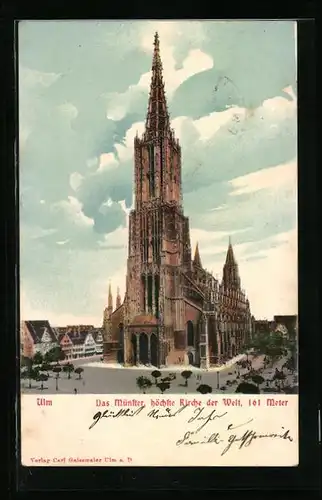 AK Ulm a. D., Blick zum Münster