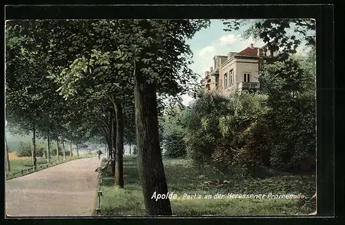 AK Apolda, Partie an der Heressener Promenade