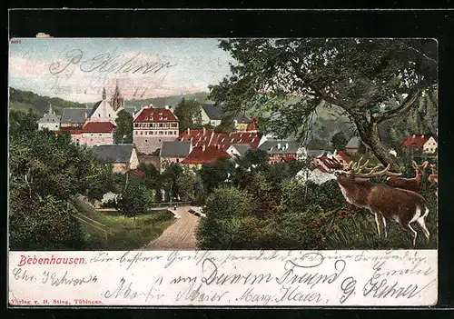 AK Bebenhausen, Totale mit brüllendem Hirschen