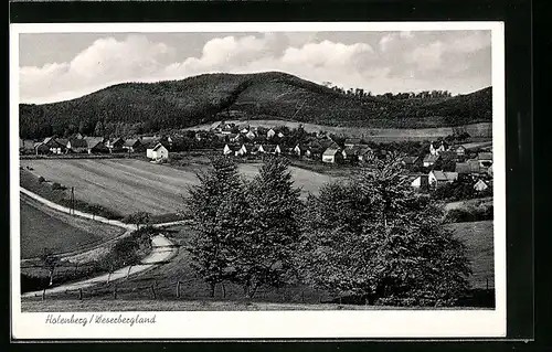 AK Holenberg / Weserbergland, Totalansicht