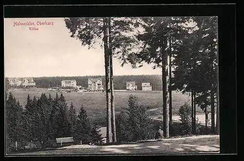 AK Hahnenklee / Oberharz, Blick zu den Villen