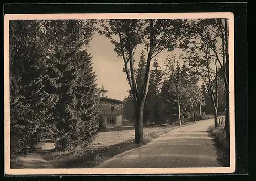 AK Reiboldsgrün / Vogtland, Waldgut Zöbischhaus