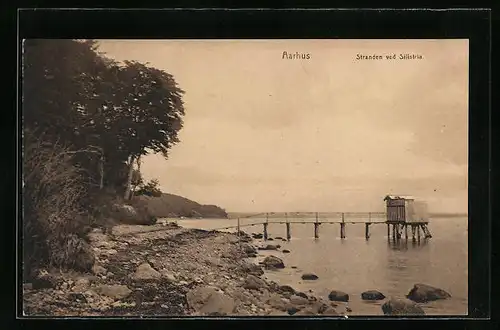 AK Aarhus, Stranden ved Silistria