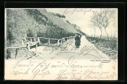 AK Aarhus, Riis Skov