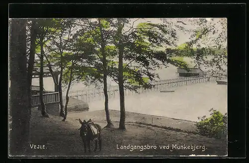 AK Vejle, Landgangsbro ved Munkebjerg