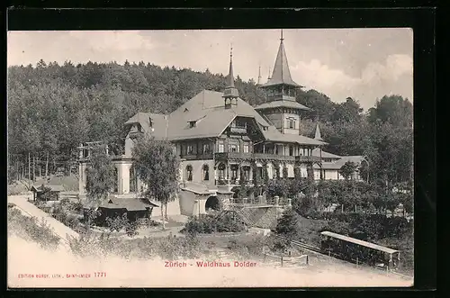 AK Zürich, Waldhaus Dolder