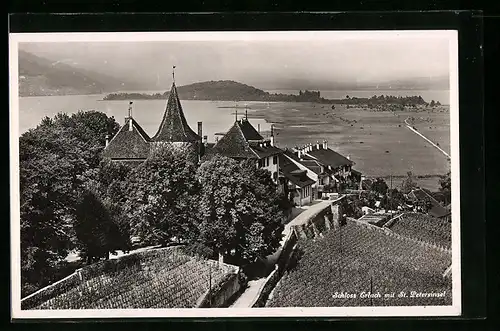AK Erlach, Schloss mit Blick auf St. Petersinsel