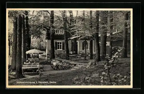 AK Neustadt /Sa., Gasthaus Hohwaldschänke, Gartenansicht