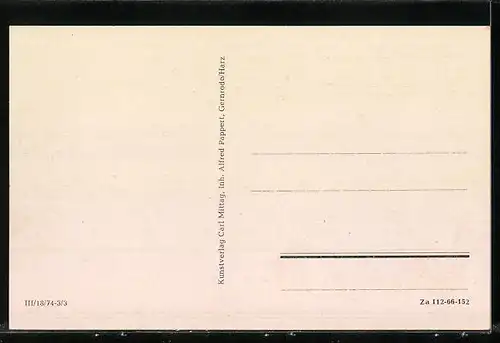 AK Markkleeberg, Forsthaus Raschwitz mit Strasse