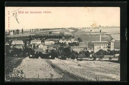 AK Lunzenau /Mulde, Ortsansicht von einem Garbenfeld aus