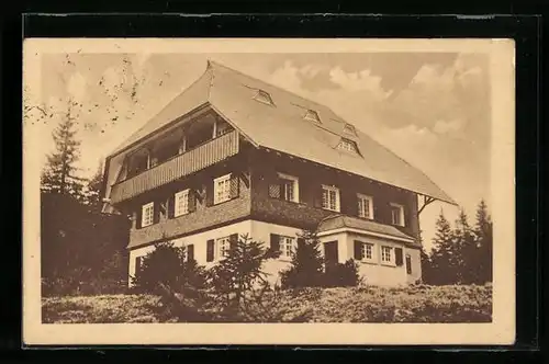 AK Feldberg /Schwarzw., Gauheim Feldberg