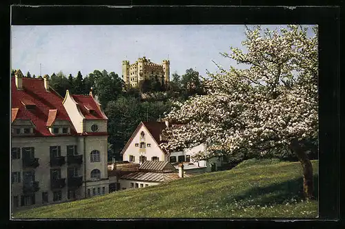 AK Hohenschwangau, Hotel Alpenrose und Schloss Hohenschwangau